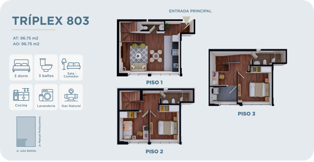 06 TRIPLEX 803 Medium